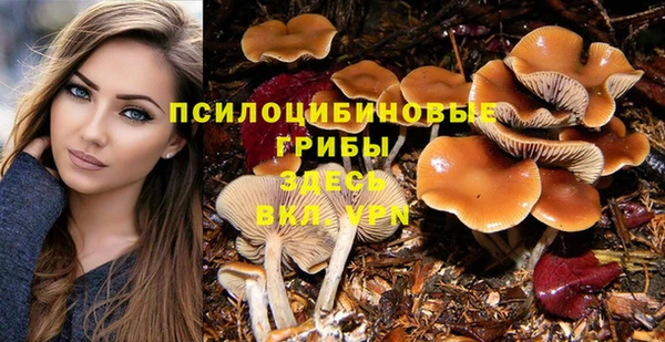 гашишное масло Осташков