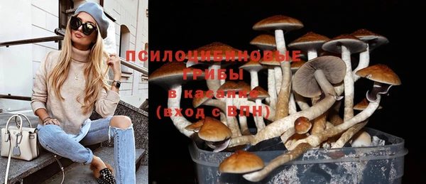 ALPHA-PVP Остров