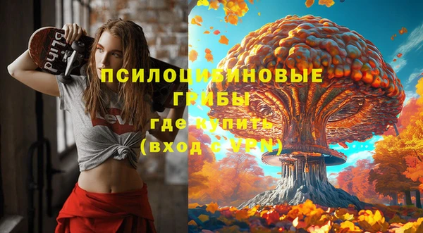 2c-b Осинники